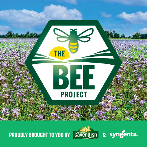 Syngenta and Cavendish Farms create pollinator habitats