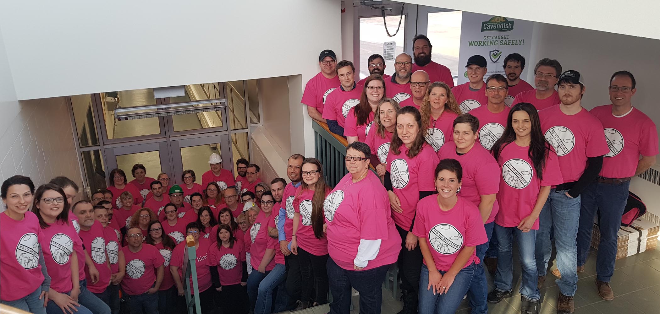 Les employés de l'usine des Fermes Cavendish à New Annan ont participé à la Journée nationale du chandail rose contre l'intimidation.
